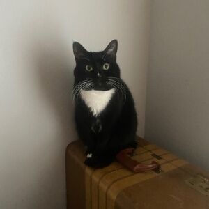 Meet your Posher, isa